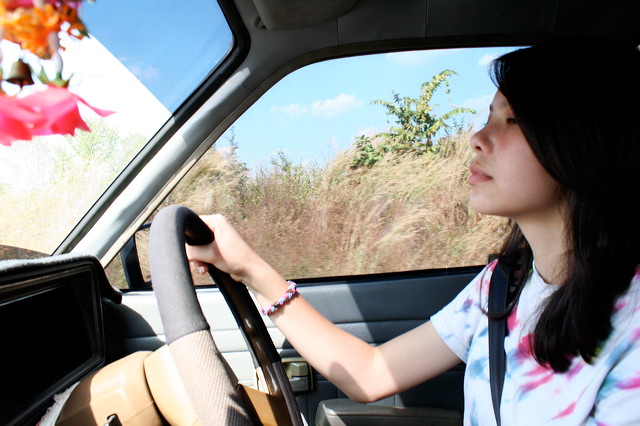 benyapa_driving_2_6x9x300.jpg