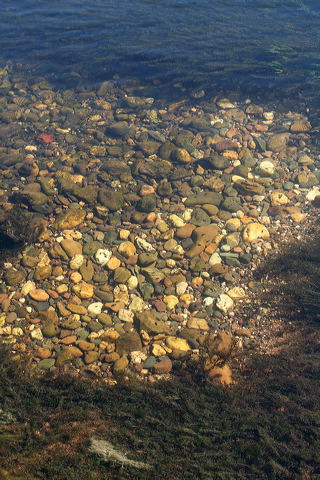 nan_river_still_life_3d7ca3.jpg